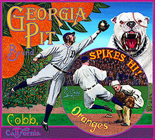 bb-sakoguchi-071-ty-cobb-georgia-pit-bull-spikes-baseball