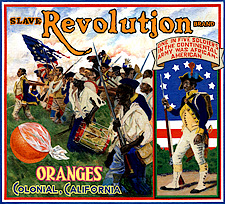 sl-sakoguchi-005-american-revolution-continental-army-slaves-freemen