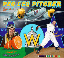 bb-sakoguchi-021-bert-shepard-washington-senators-p-38-lightning