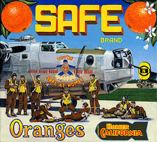 bb-sakoguchi-022-b-24-liberator-safe-at-home-8th-af-wwii