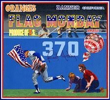 bb-sakoguchi-110-rick-monday-flag-burn-rescue-dodgers-cubs-roark