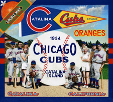 bb-sakoguchi-165-catalina-1934-training-camp-island-cubs