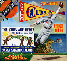 bb-sakoguchi-166-wrigley-gum-steve-mesner-catalina-island-training-camp-cubs