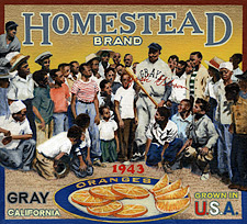 bb-sakoguchi-173-josh-gibson-homestead-grays-1943