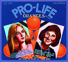 oc-sakoguchi-179-leeann-nichols-shannon-lowney-clinic