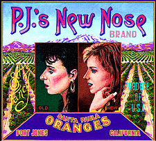 oc-sakoguchi-188-paula-jones-rhinoplasty