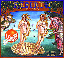 oc-sakoguchi-192-boticelli-birth-of-venus-breast-implants