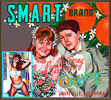 oc-sakoguchi-50-pam-smart-greg-exeter-nh